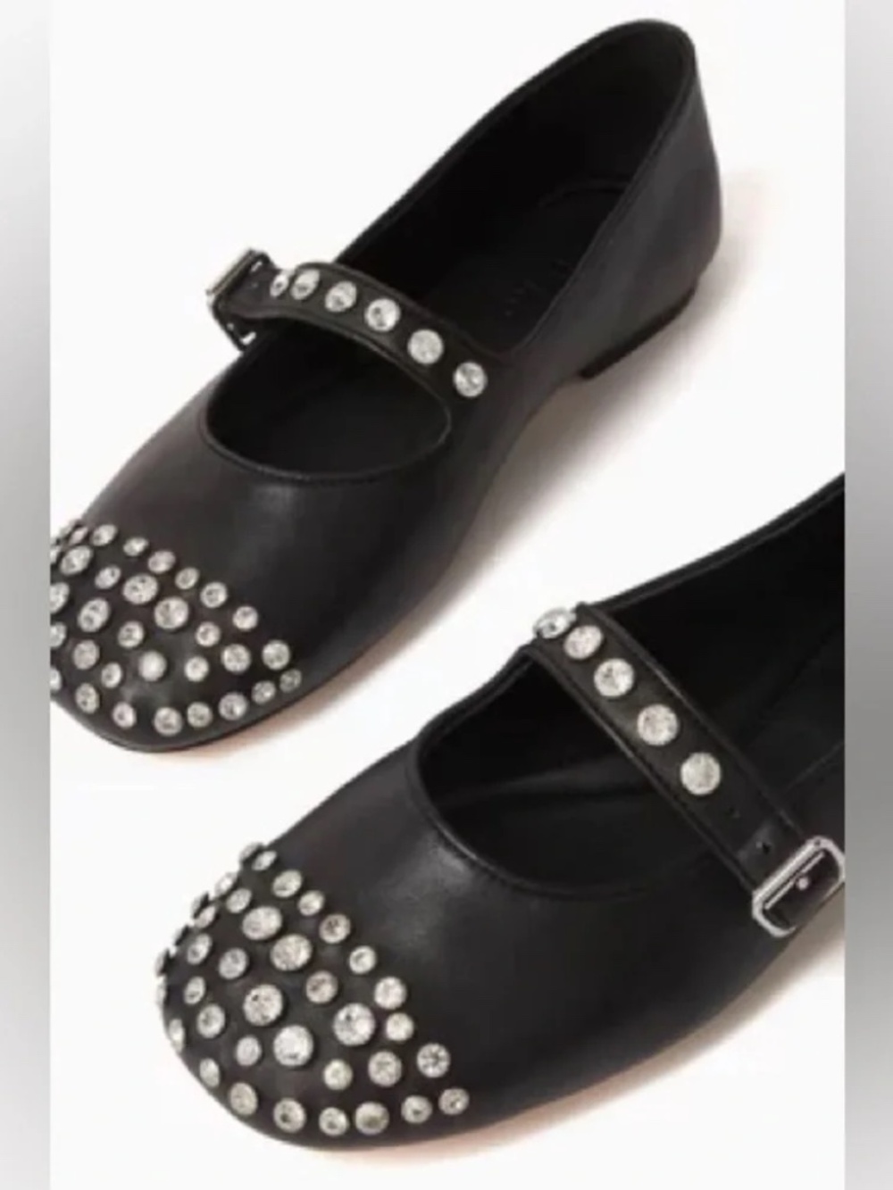 Salna Embellished Ballet Flats in Leather